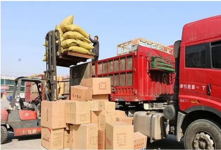 漳州到普陀区物流专线